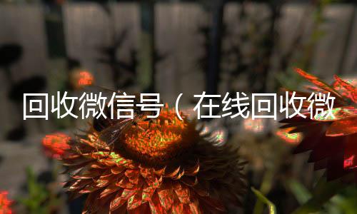 回收微信号微信回收秒结（在线回收微信号）