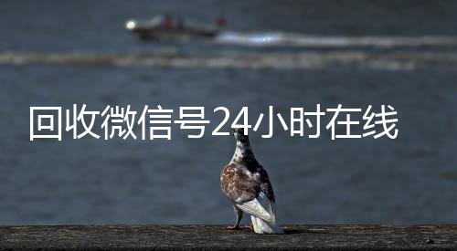 回收微信号24小高价收微信号秒结时在线秒结（回收微信号平台官网）