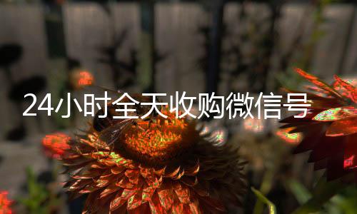 24小时全天收vx回收秒结账购微信号（私人回收联系方式）